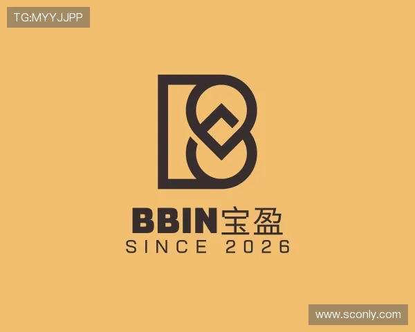 关于BBIN宝盈官网